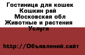 Гостиница для кошек “Кошкин рай“ - Московская обл. Животные и растения » Услуги   